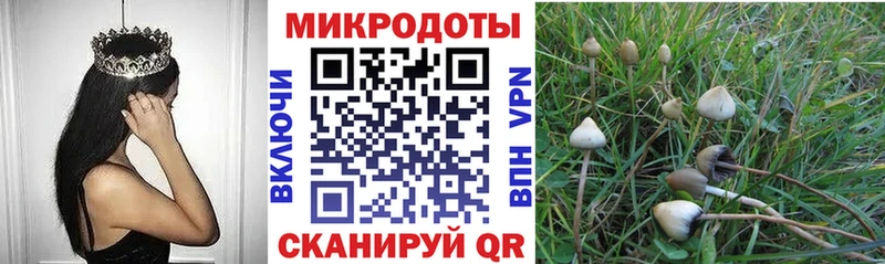 Галлюциногенные грибы ЛСД  Мичуринск 